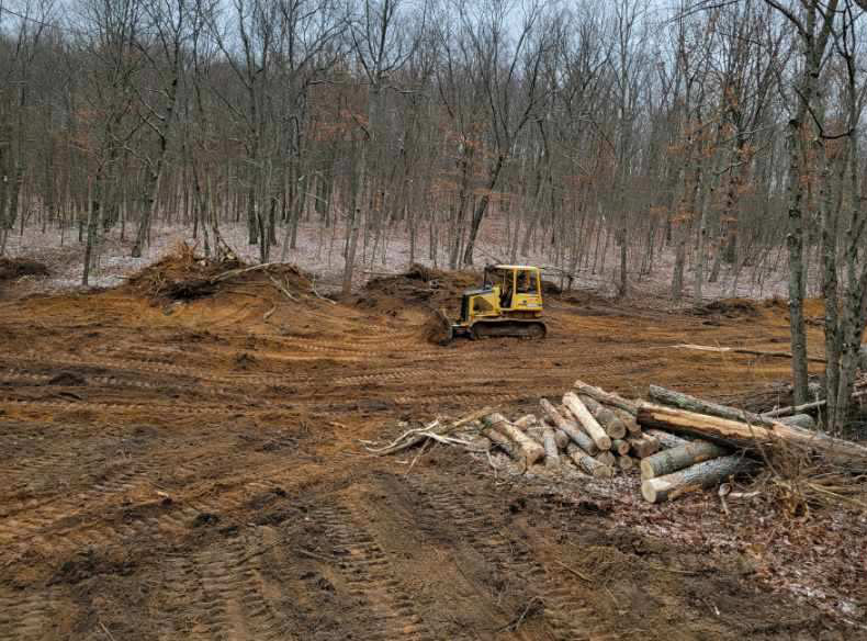 dozer clearing area after clearcutting