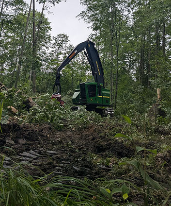 timber harvester equipment in hardwood forest