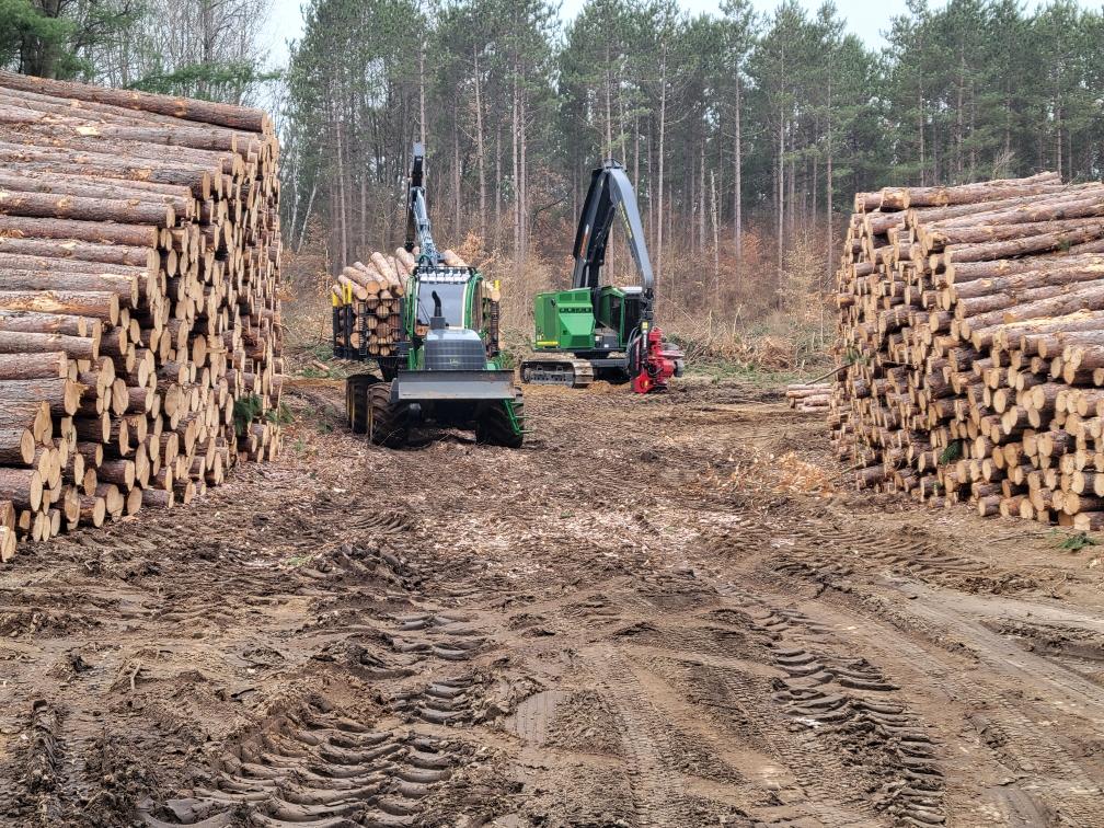 timber harvester equipment and forwarder on site by stacked timber harvested