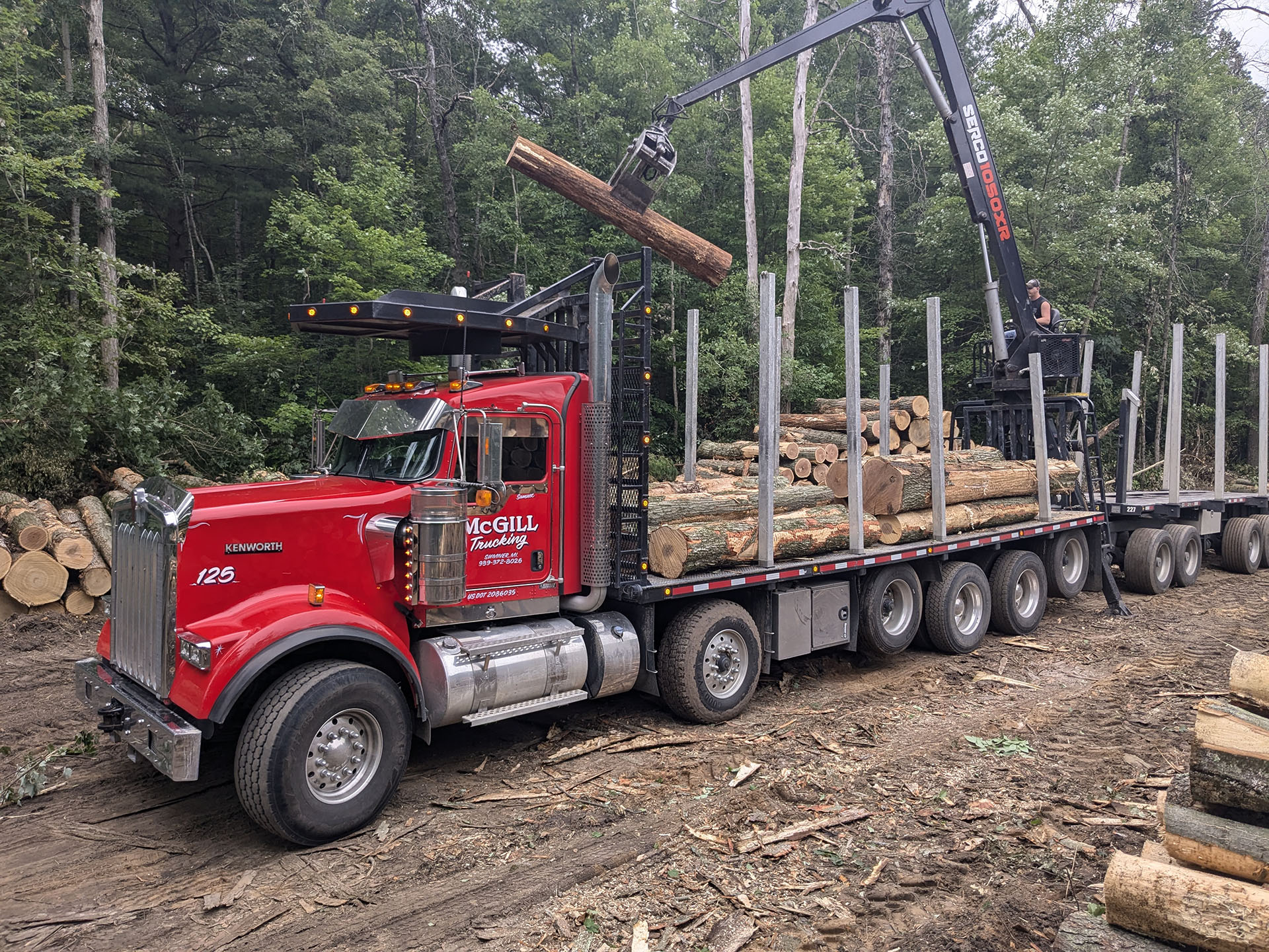  Logging truck loading harvested timber in morley Michigan