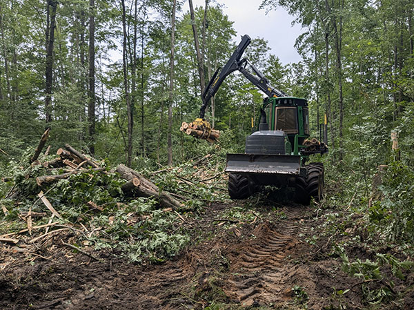 forestry harvester picking up pile of 8 foot logs to move them