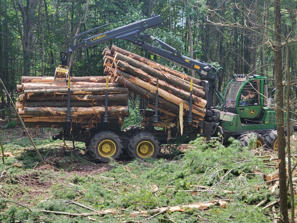 forwarder equipment hauling tree logs after on site processing in forest