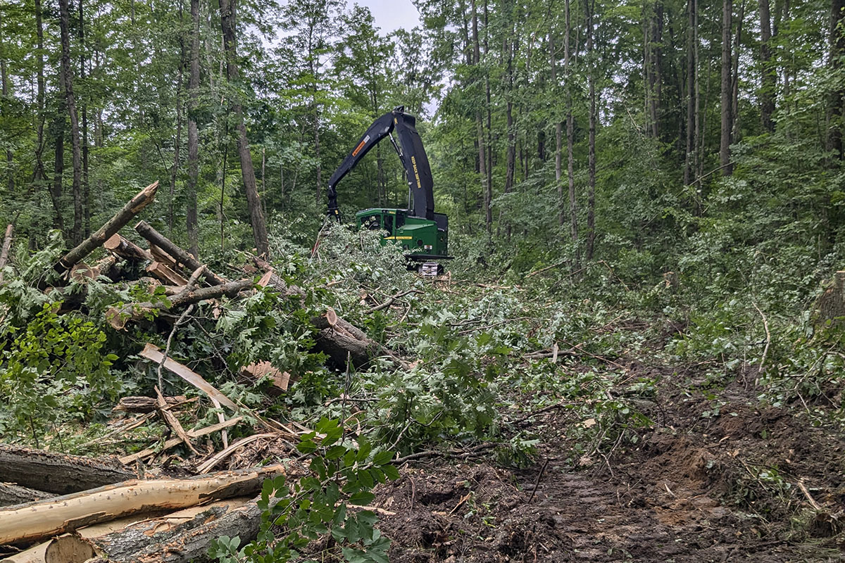 John Deere forestry harvester thinning trees on property in Morley Michigan